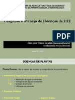 Aula 3 - Diagnose e Manejo de Doenças de HFF 2016