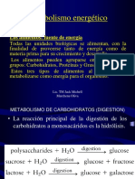 Metabolismo de Os Carbohidrtaos