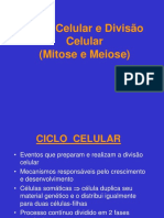 Cicloedivisaocelular MITOSE E MEIOSE