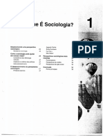 O que é Sociologia - Anthony Giddens.pdf