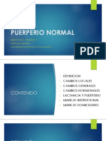 SEMINARIO 3 - PUERPERIO.pptx