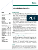 Raport Fitch Ratings - 16 Octombrie 2008