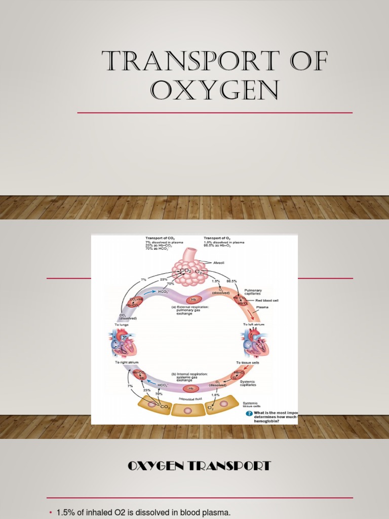 Transport of Oxygen Biology Diagrams
