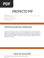 Proyecto Pip