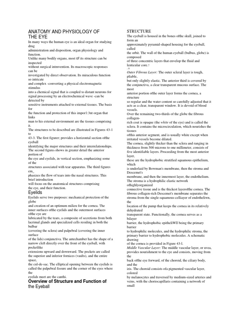 Anatomy and Physiology of the Eye | PDF | Cornea | Retina
