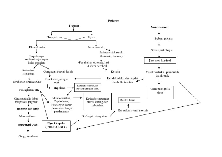 Pathway of Traumatic Cephalgia | PDF