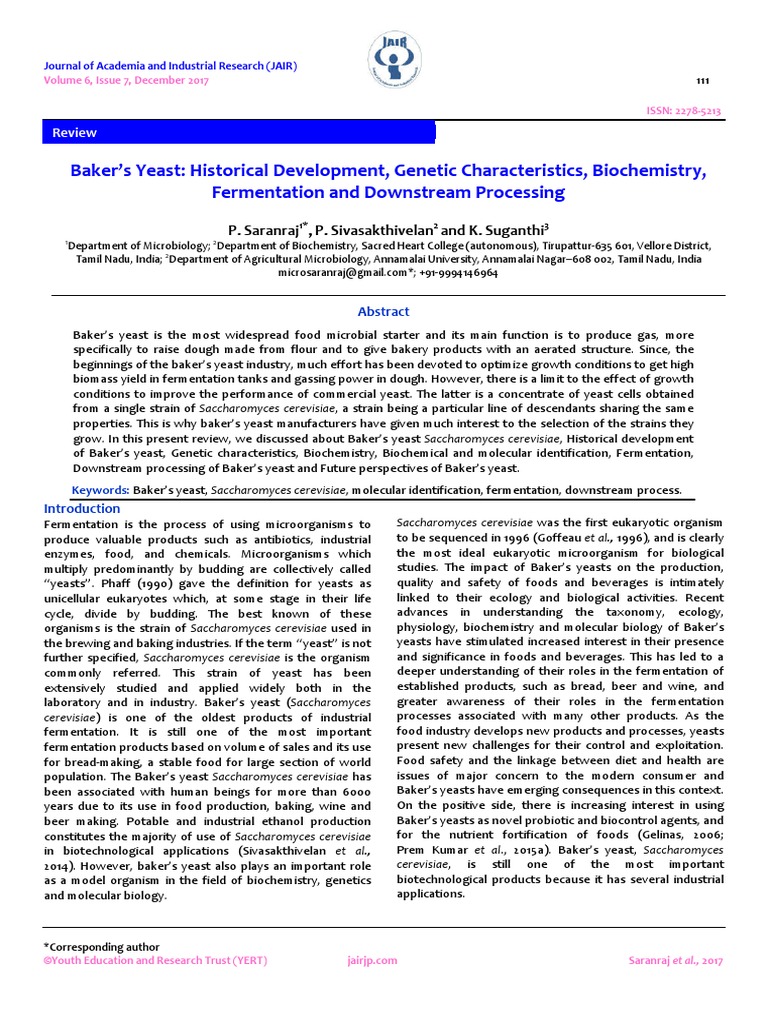 Baker's Yeast PDF Saccharomyces Cerevisiae Yeast