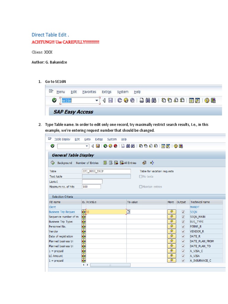 Direct Table Editing in SE16N Guide | PDF | Computers