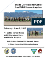 Wildhorses June 2018 Adoption