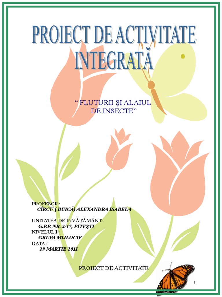 Insecte Proiect de Activitate | PDF