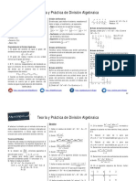 División Algebraica.pdf