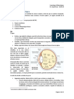 #06 Semiología Oftalmológica