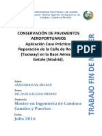 TMest _Conservac_PAv_Aeroportuarios.pdf