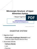 Upper Alimentary Histology-2012