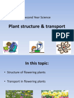 Plant Structure & Transport: Second Year Science