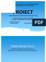 Proiect-2.pptx