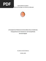Dissertação Mestrado-Inclusão de Alunos com Trissomia 21.pdf