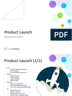 Product Launch