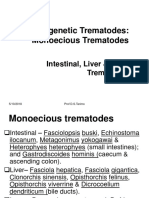 Liver Flukes (Trematodes) (PROF DTARIMO)