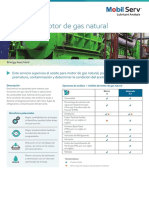 Analisis de Motor de Gas Natural