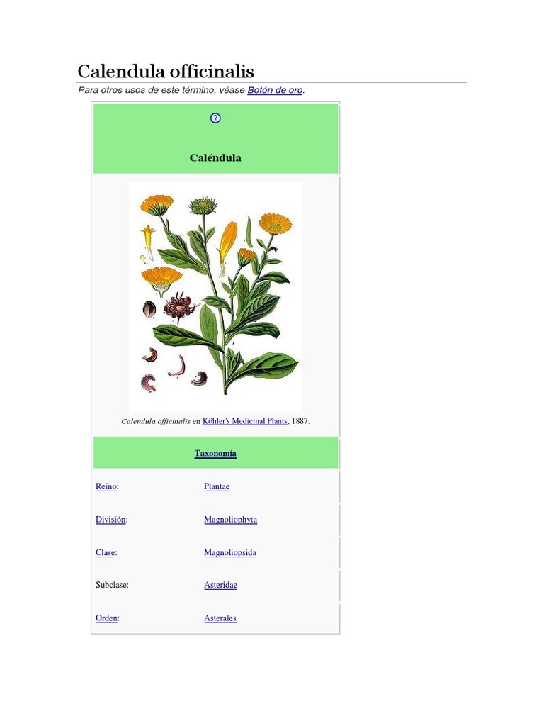 Calendula Officinalis | PDF | Plantas | Horticultura y jardinería