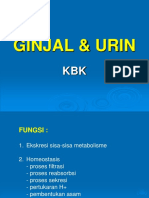 Ginjal & Urin