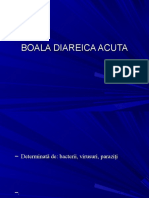 172419688-Boala-Diareica