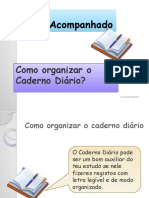 Organizar Caderno Diário