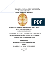 carcamo_sl.pdf