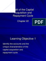 Audit of The Capital Acquisition and Repayment Cycle