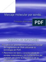 Marcaje Sondas PCR