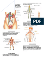 Enfermedades de Sistemas Del Cuerpo