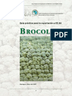 Iica2007brocoliexportacion PDF