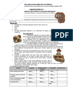 LABORATORIO Nº1 fosiles