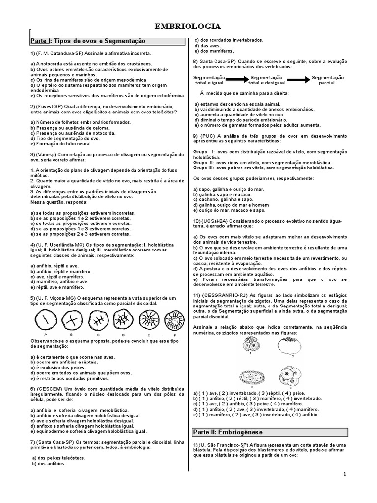 Exercicios de Embriologia | PDF | Placenta | Zoología