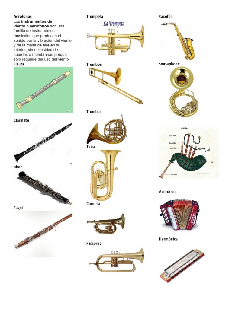 Aerófonos PDF Instrumentos musicales Tecnología musical