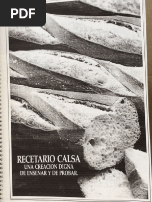 Recetario Calsa Pdf
