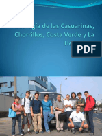 Geología de Las Casuarinas, Chorrillos, Costa PDF