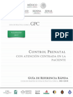 GRR. Control prenatal..pdf