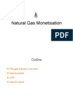 Natural Gas Monetization