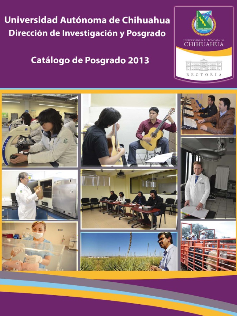 Uach Catalogo De Posgrado 2013 Pdf Tecnologia E Ingenieria Maestros