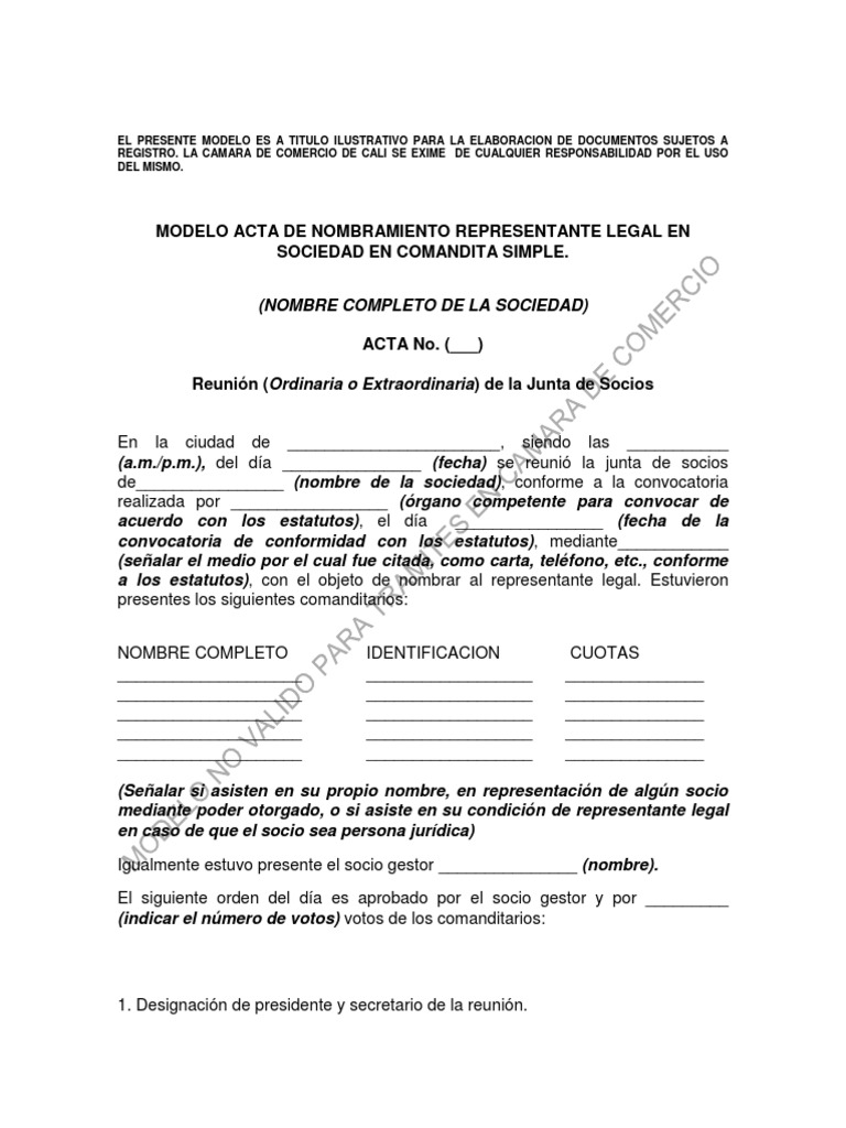 Nombramiento Representante Legal 1 PDF Gobierno Justicia