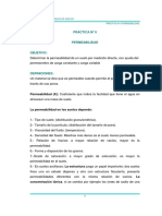 practica-nc2ba-9-permeabilidad.pdf