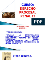 Curso:: Derecho Procesal Penal Ii