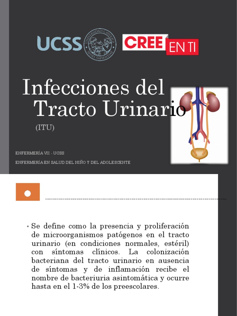 Infecciones Del Tracto Urinario Pdf Infección Del Tracto Urinario
