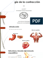 Fisiología de La Contracción