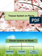 Biodas I - Bentuk Dan Fungsi Tumbuhan