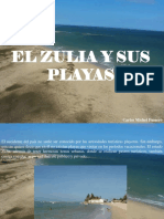 Carlos Michel Fumero - El Zulia y Sus Playas