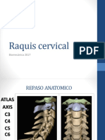 Raquis Cervical