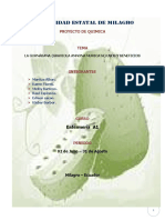 158499315-PROYECTO-GUANABANA-2.docx